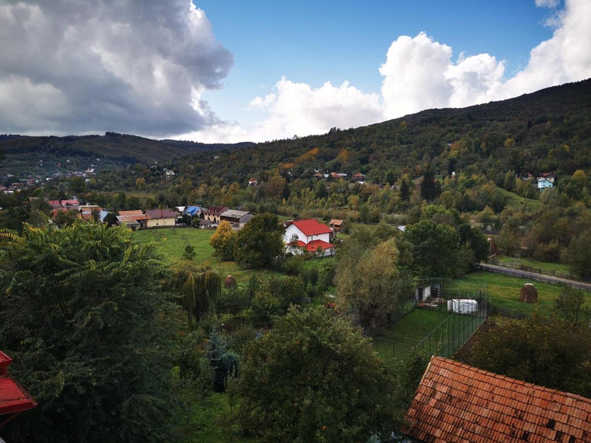 Doftana Apartaments Teşila Eksteriør billede