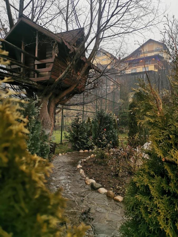 Doftana Apartaments Teşila Eksteriør billede