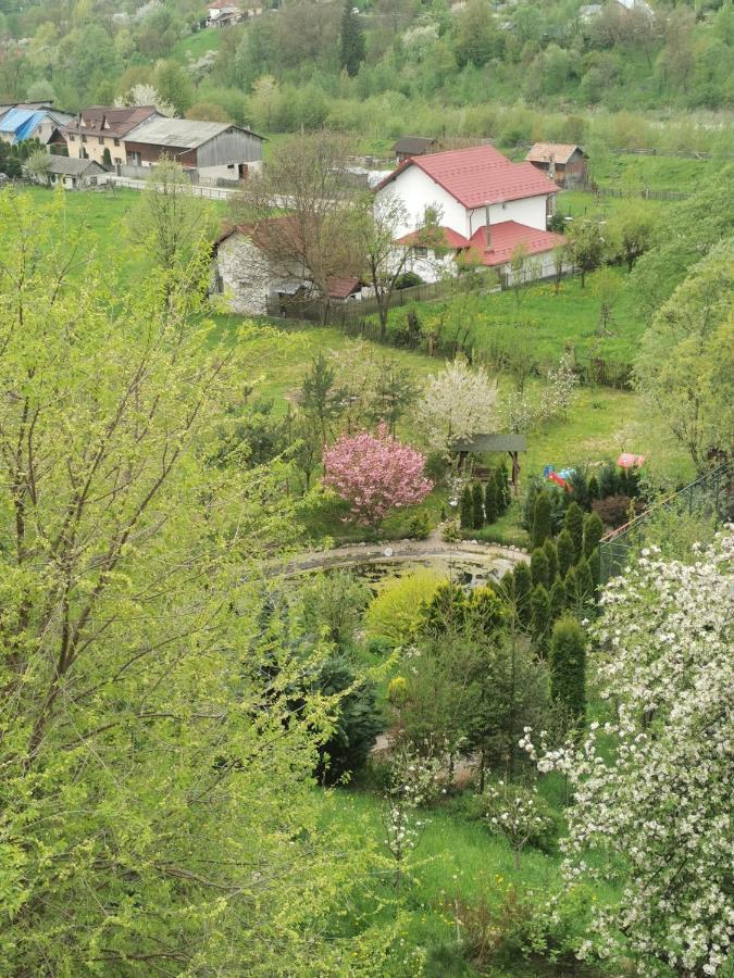 Doftana Apartaments Teşila Eksteriør billede