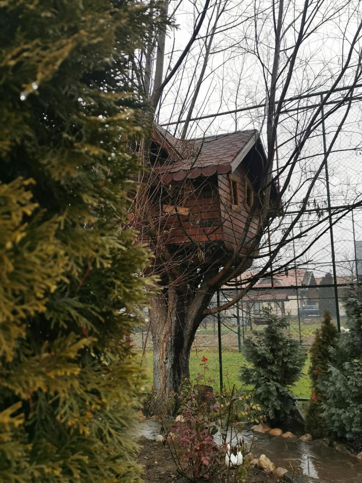 Doftana Apartaments Teşila Værelse billede