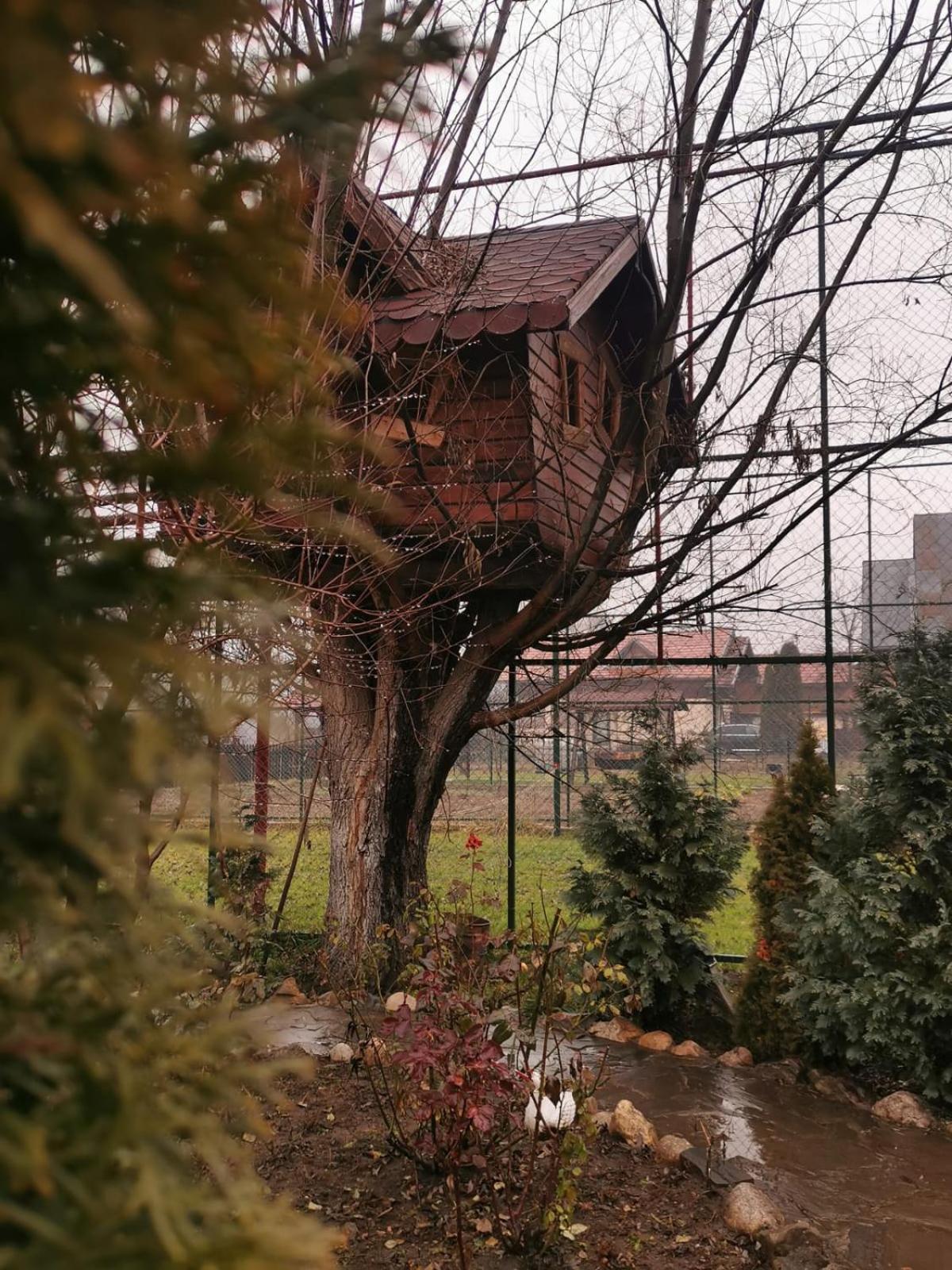 Doftana Apartaments Teşila Værelse billede